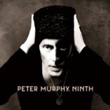Peter Murphy - Velocity Bird
